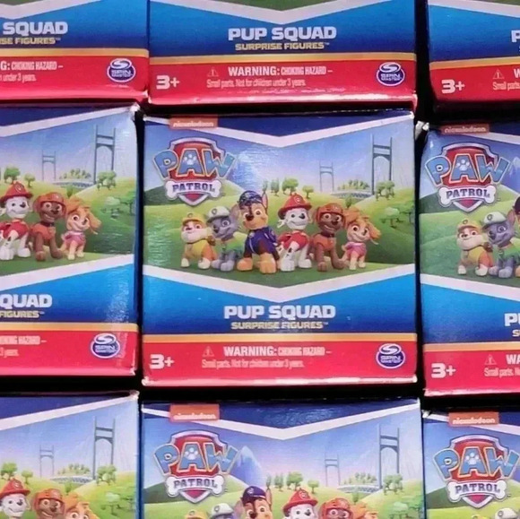 Nickelodeon Other - Paw Patrol Pup Squad Surprise Figure X 5